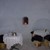phpic_2308