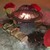 phpic_2658
