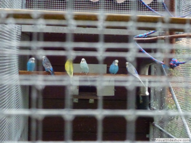 phpic_2756