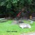 phpic_2753