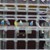 phpic_2756