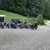 phpic_2776