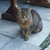 phpic_2782