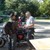 phpic_2784