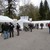 lilopic_243